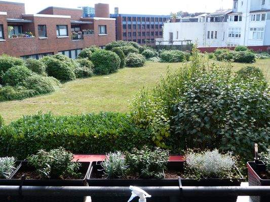 Blick vom Balkon