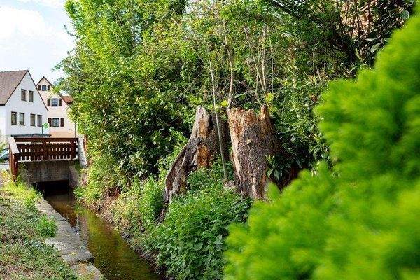 Hier gibt es vieles zu entdecken