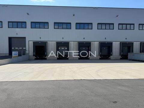 Nettetal Halle, Nettetal Hallenfläche