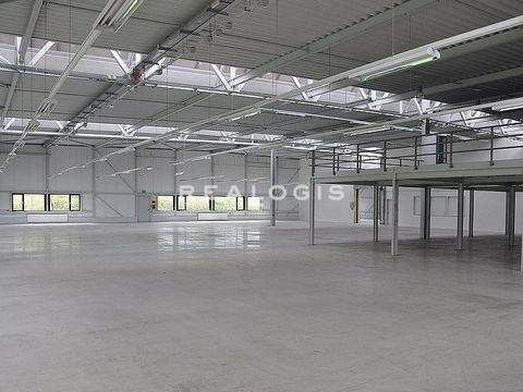 München Halle, München Hallenfläche