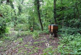 91916_d43da7d6fadc2a2152efbe5649517417