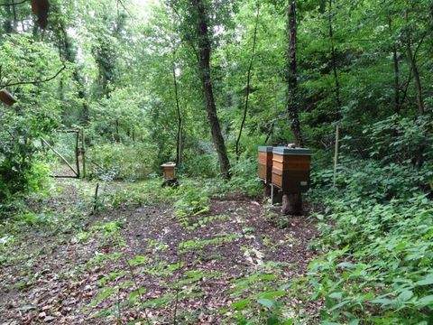 Mühlheim am Main Grundstücke, Mühlheim am Main Grundstück kaufen