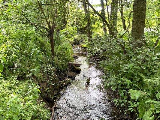 Idyllischer Bachlauf direkt am Grundstück