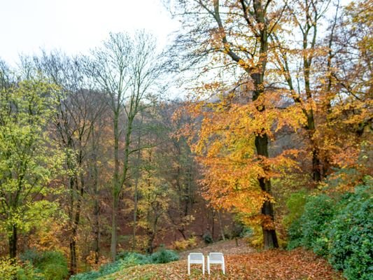 Weitblick