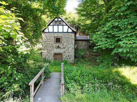 Reichshof Renditeobjekte, Mehrfamilienhäuser, Geschäftshäuser, Kapitalanlage