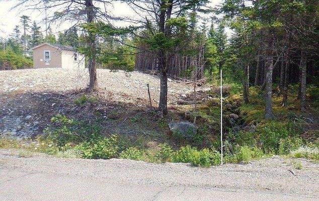 Grundstücksgrenze Bachlauf rechts