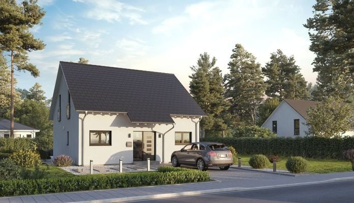  Home Zehn mit Satteldach Ansicht Eingang