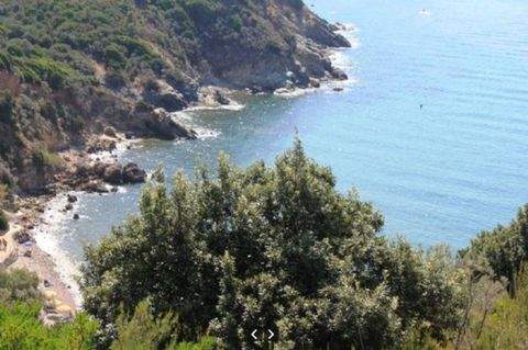 Monte Argentario Häuser, Monte Argentario Haus kaufen