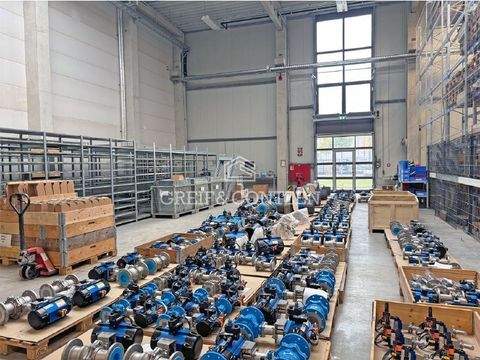 Köln Halle, Köln Hallenfläche