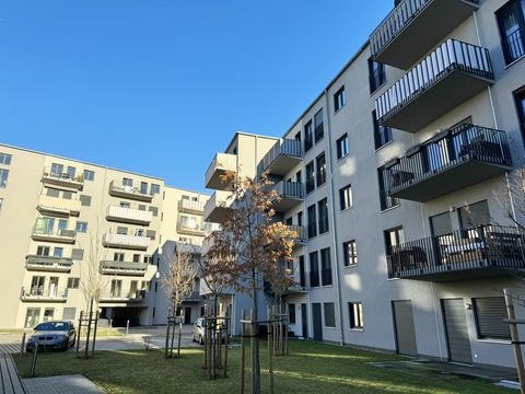 Dresden Wohnungen, Dresden Wohnung kaufen