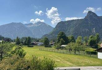 Ausblick
