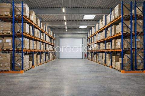 Velbert Halle, Velbert Hallenfläche