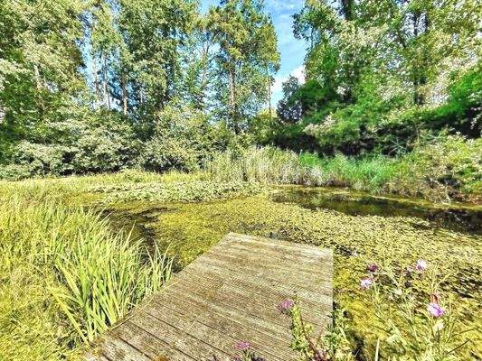 Teichanlage mit Steg