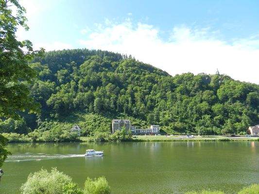 Blick gegenüberliegendes Moselufer