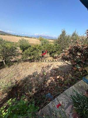 WhatsApp Image 2024-09-06 at 10.30.40 (3).jpeg