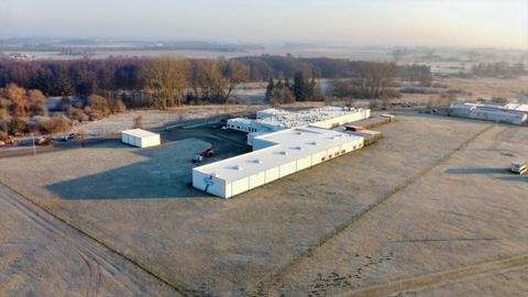 Loitz Halle, Loitz Hallenfläche