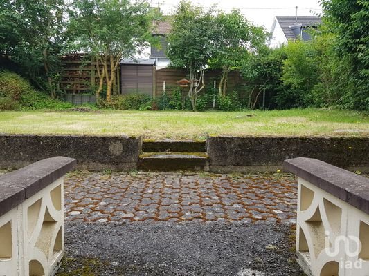 Blick aus dem Keller in den Garten