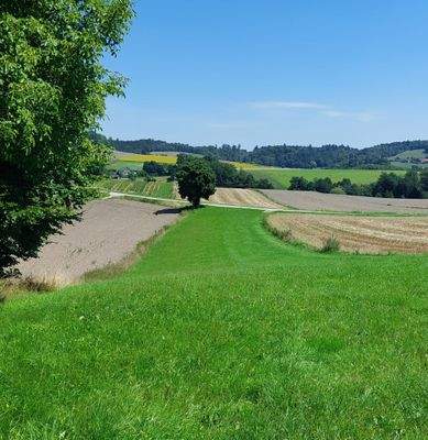 LeBa Teil der landw, Grundstücke auch zweite Zufah