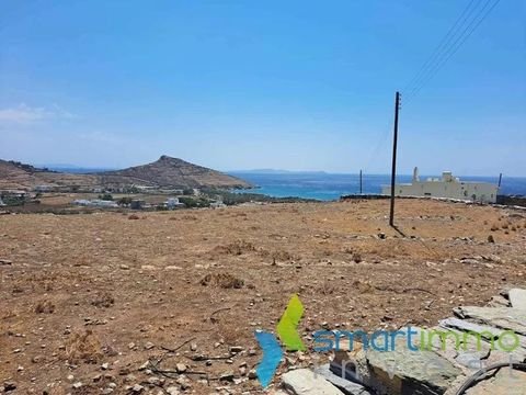 Agios Fokas, Tinos Bauernhöfe, Landwirtschaft, Agios Fokas, Tinos Forstwirtschaft