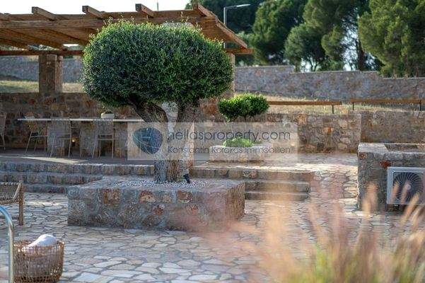 a3b2ebcaf2ac4778ab87881bdf870b35-original