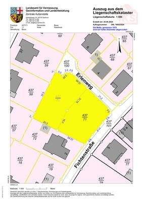 163729_1_ALKIS_Spannmasse Gelb