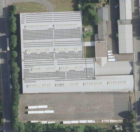 Barntrup Halle, Barntrup Hallenfläche