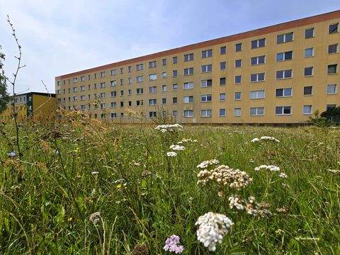 Sandersdorf Wohnungen, Sandersdorf Wohnung mieten