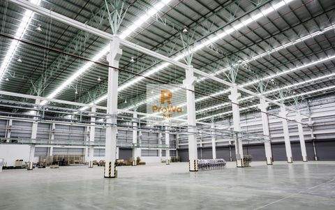 Neuenstein Halle, Neuenstein Hallenfläche