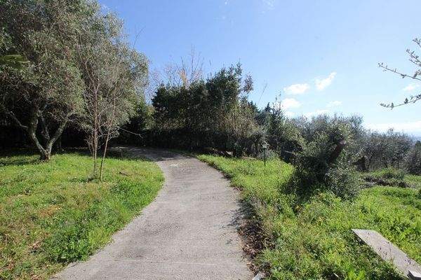 IMG_3476 (Kopie).JPG