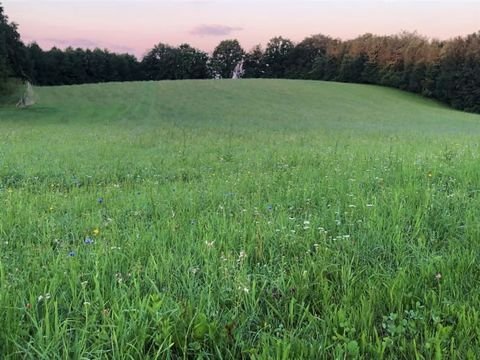 Pfaffenhofen an der Ilm Grundstücke, Pfaffenhofen an der Ilm Grundstück kaufen