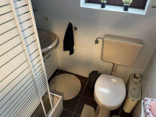 Gäste WC mit Dusche EG