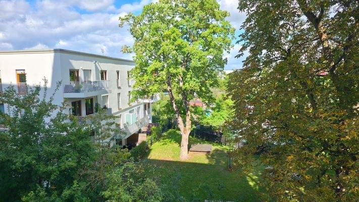 Ausblick von der Küche.jpg