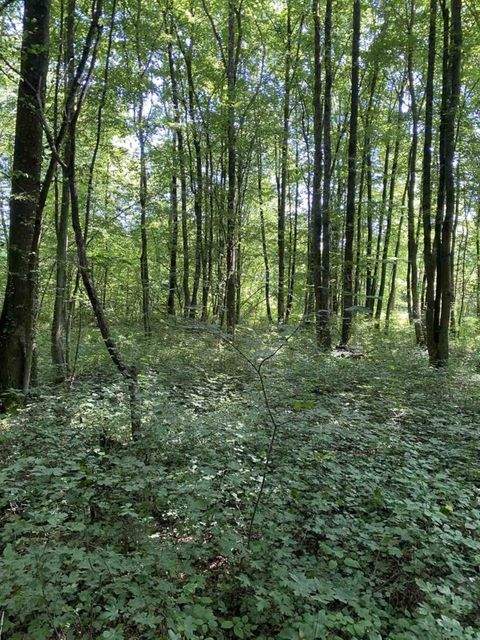 Oriovac Grundstücke, Oriovac Grundstück kaufen