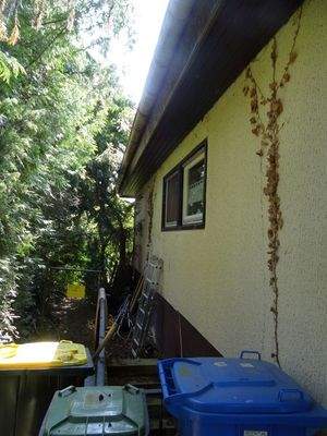 Willingshausen, Hausnordseite