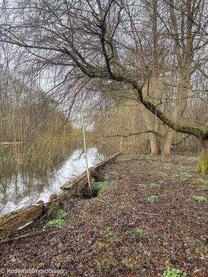 Blick zum Rhin links