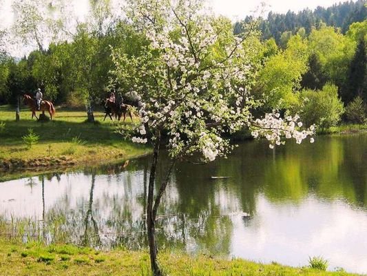 Reiten am See