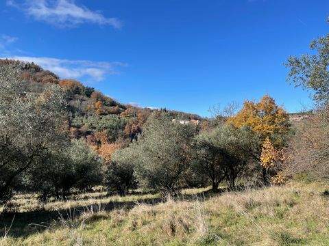 Chiusdino Grundstücke, Chiusdino Grundstück kaufen