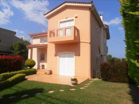 Attika Häuser, Attika Haus kaufen