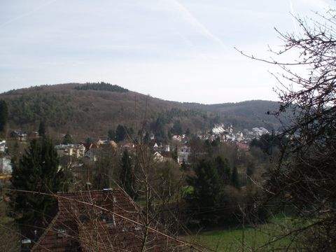 Hofheim am Taunus Grundstücke, Hofheim am Taunus Grundstück kaufen