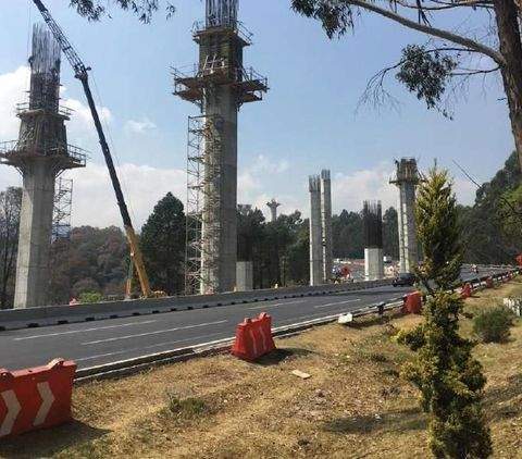 1° de Mayo Bauernhöfe, Landwirtschaft, 1° de Mayo Forstwirtschaft