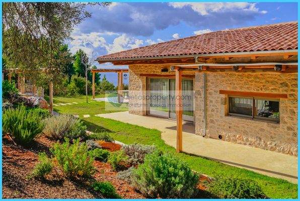 26cd09b9bc06498eb20d4bb0afd19d9d-original