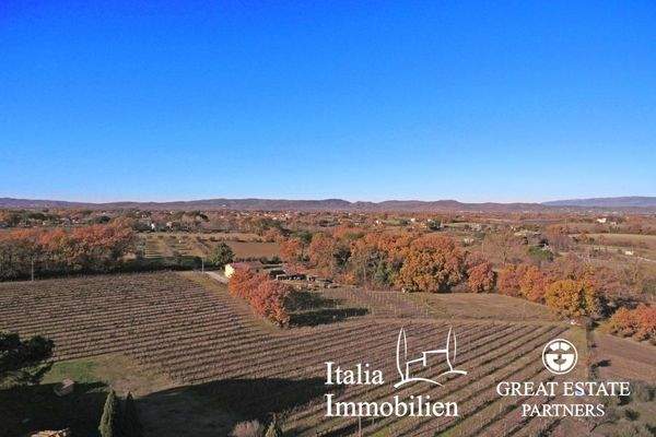 Schöne helle Villa in herrlicher Lage mit Türmchen, Pool, Weinberg und Olivenhain