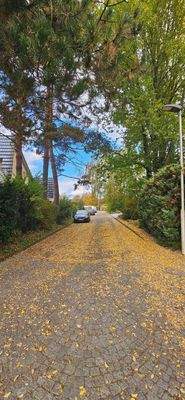 Reine Anliegerstrasse