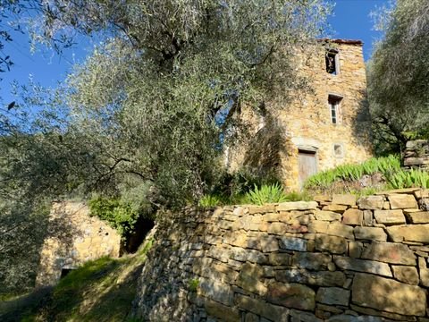 Dolceacqua Häuser, Dolceacqua Haus kaufen