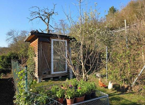 Platz für Ihre Hühner mit viel Möglichkeiten für Auslauf und Frische Luft_#141647