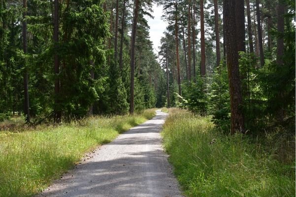 Landsitz im Wald