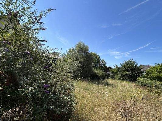 Natur pur am Kaiserstuhl