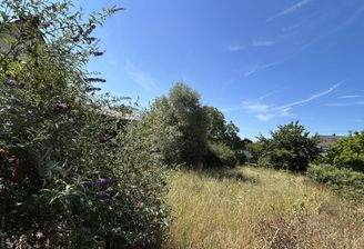 Natur pur am Kaiserstuhl