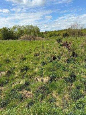 Blick auf das Grundstück 