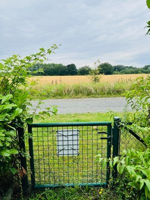 Auf gehts zur Hunderunde..